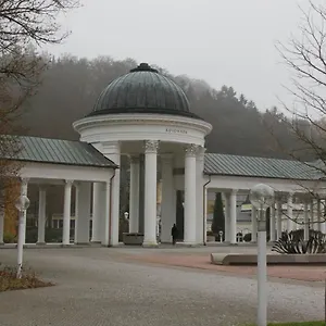 Apartment Karlovarska, Mariánské Lázně